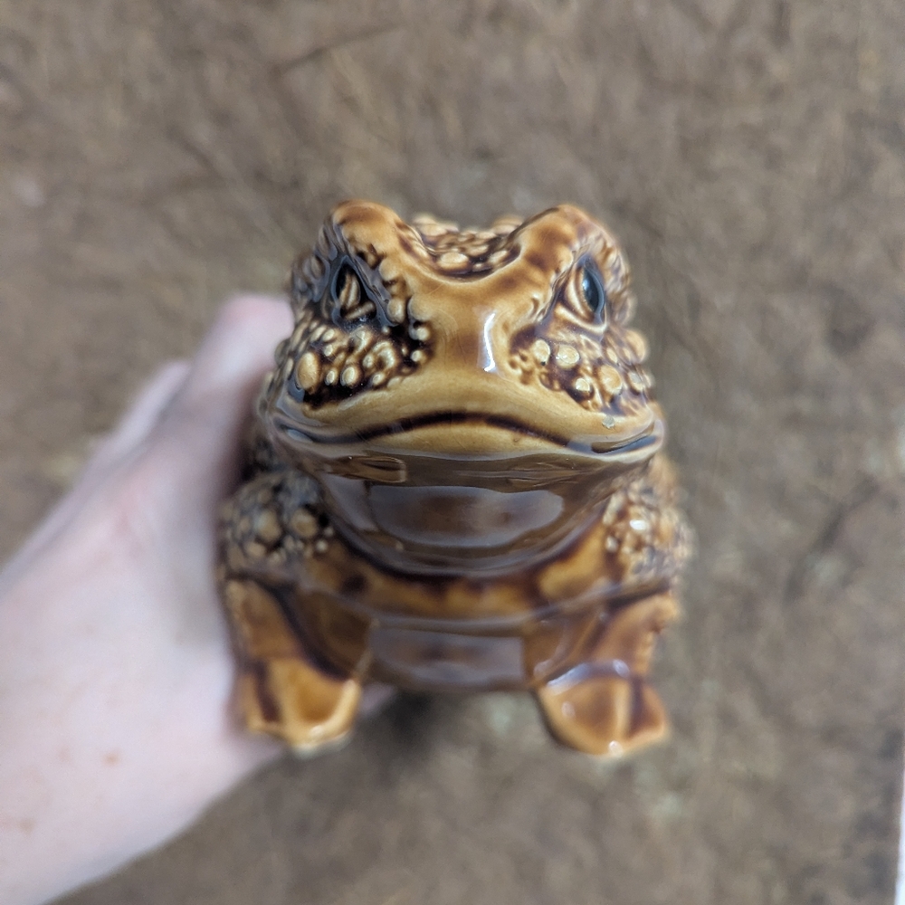 🐸 Cutest Toad Planter Ever!